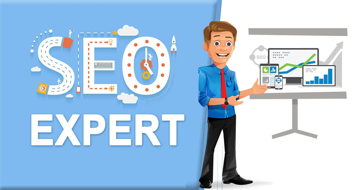 seo consultant hisar